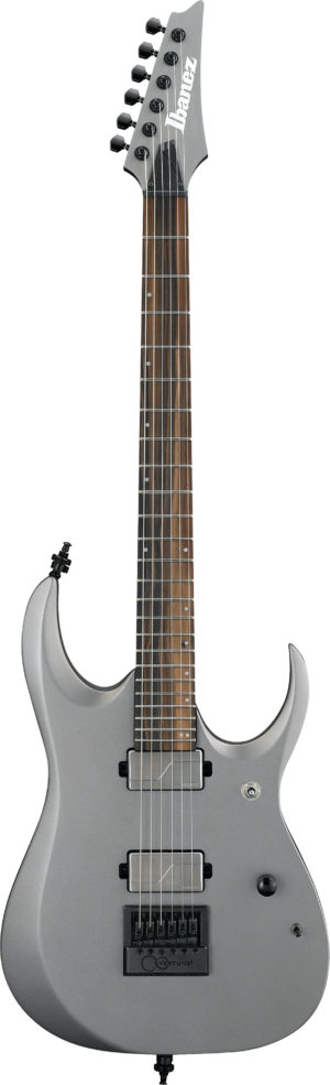 IBANEZ RGD Axion Label E-Gitarre 6 String Metallic Gray Matte
