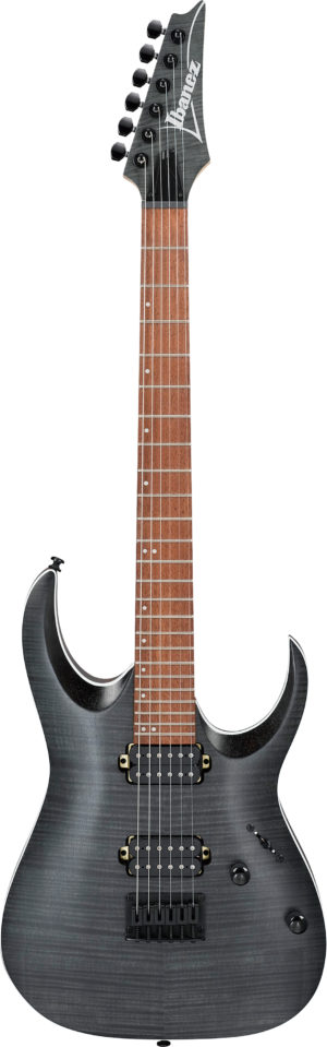 IBANEZ RGA-Serie E-Gitarre 6 String Transparent Grey Flat