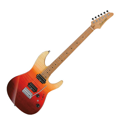 E-Gitarren online kaufen | Online-Shop für Musikinstrumente