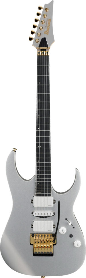 IBANEZ RG-Series E-Gitarre 6 String Silver Flat + Case M20RG