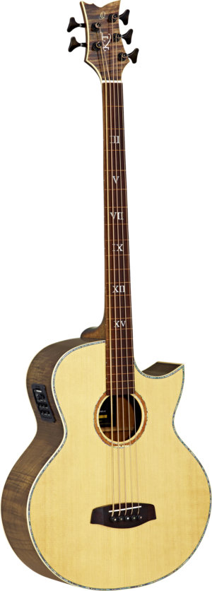ORTEGA Ken Taylor Signature Series Bass 5 String Natur Paldao inkl. Tasche/Ledergurt/Straplockpins Lange Mensur Fretless