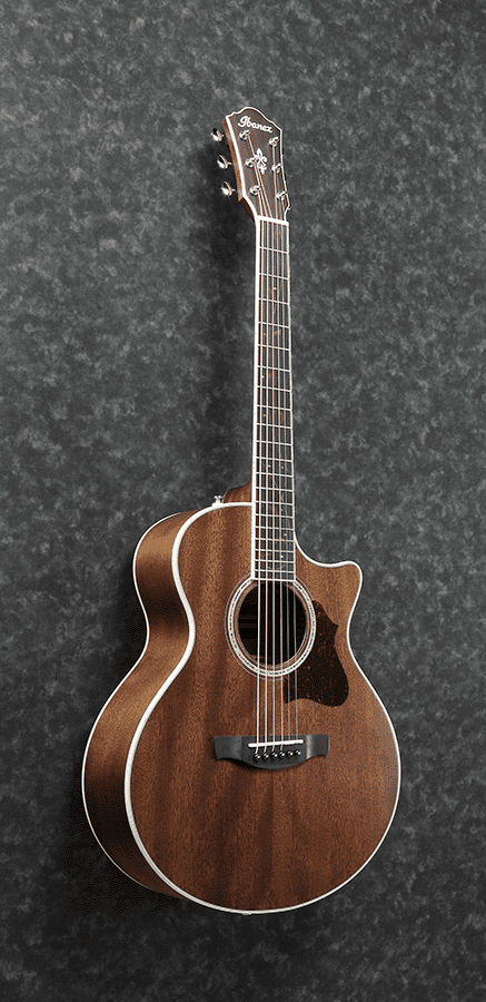 Ibanez ae245jr hotsell
