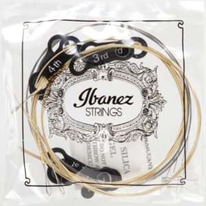 IBANEZ Saiten Set für 8 String Mandoline .010/.014/.024/.034 80/20 Bronze