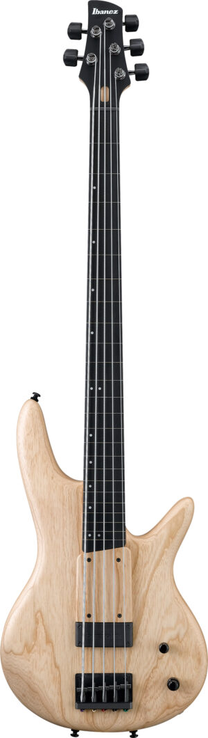IBANEZ Gary Willis Signature E-Bass 5 String Fretless Made in Japan Natural Flat + Case M20SR