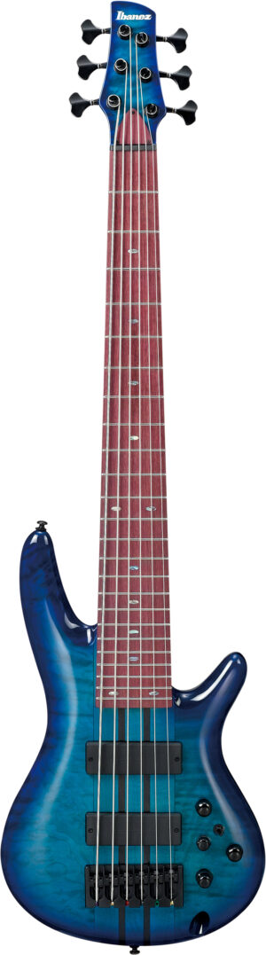 IBANEZ Adam Nitti Signature E-Bass 6 String + Bag