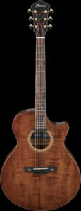 IBANEZ AE295LTD-NT AE 6-Str Natural High Gloss - Musikhaus Karami